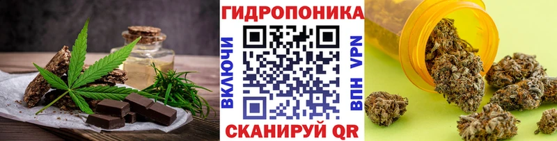 цена   Сорочинск  Cannafood конопля 