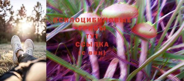 COCAINE Михайловск
