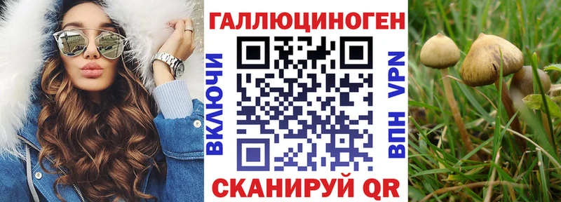 Галлюциногенные грибы ЛСД  где купить   mega маркетплейс  Сорочинск 