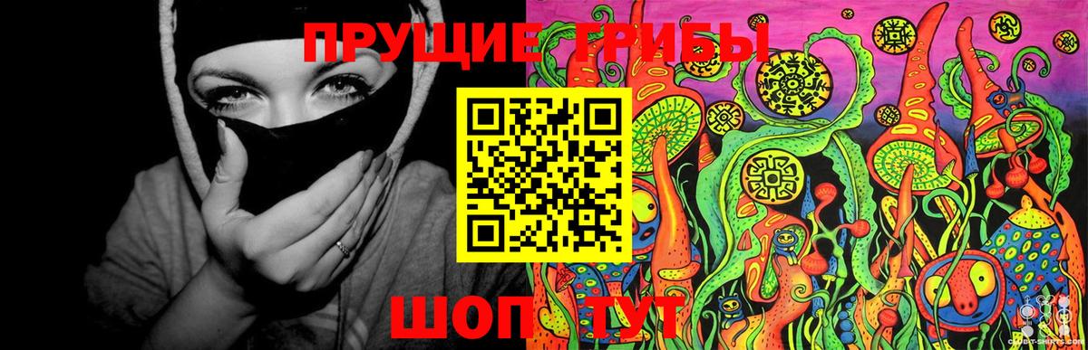 Сорочинск  Галлюциногенные грибы MAGIC MUSHROOMS  Галлюциногенные грибы мицелий  Вход с VPN 